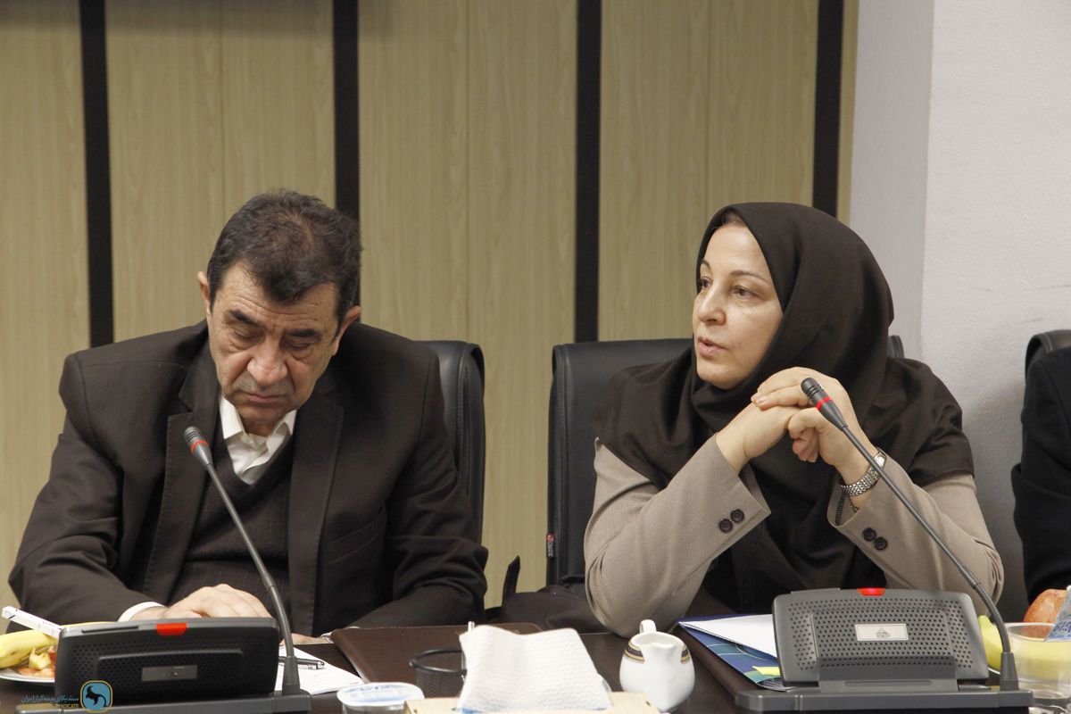 Attendance of Dr. DeJapsand, Minister of Economic Affairs in the meeting of the General Council of the Iran Insurers Syndicate
