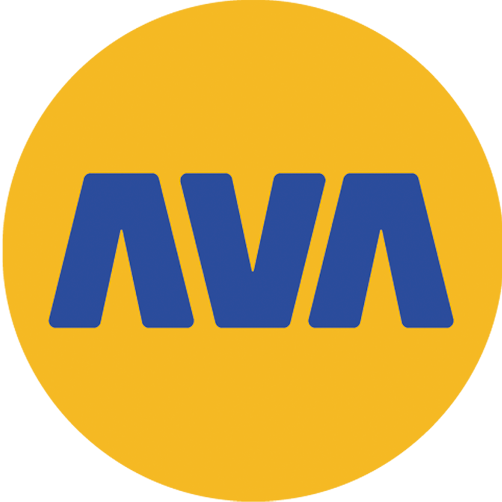 Ava Pars Reinsurance