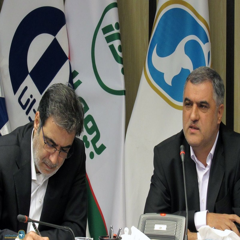 Iran Insurers Syndicate is the main supporter of insurance associations