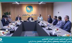 برگزاری نخستین جلسه کمیته تخصصی بررسی آیین‌نامه بیمه‌های زندگی مجزا-متصل به دارایی